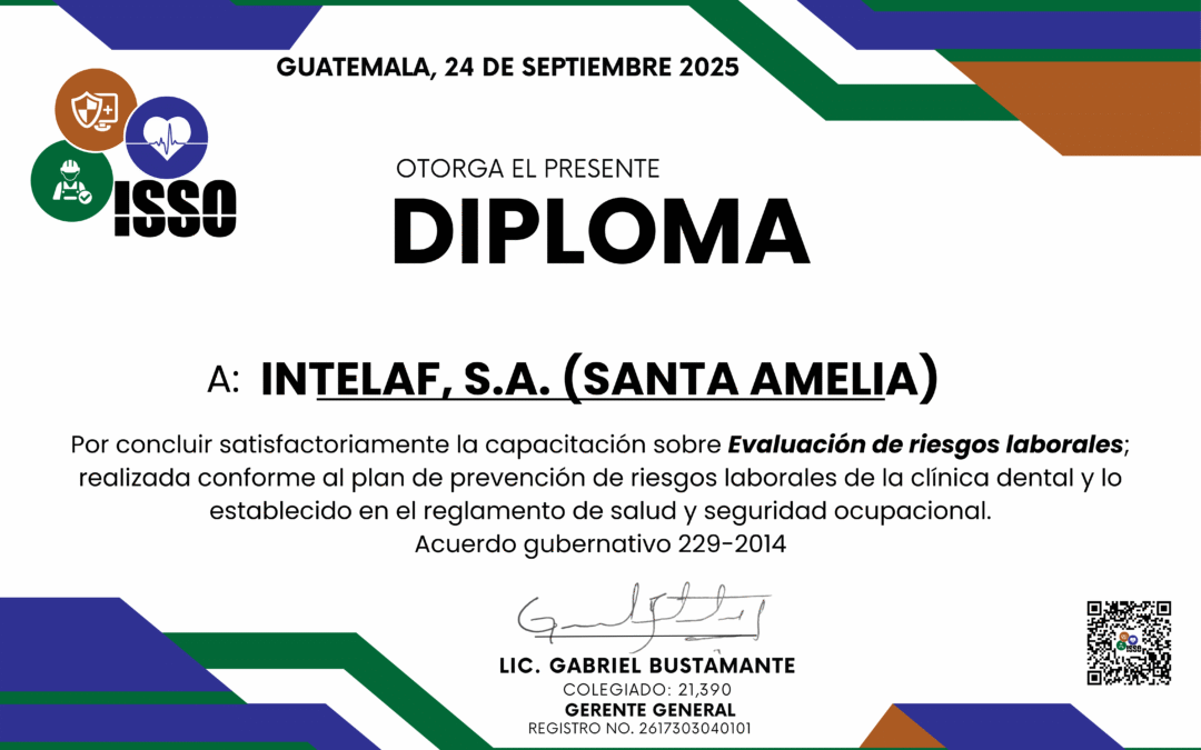 240925INTELAFSANTAAMELIA